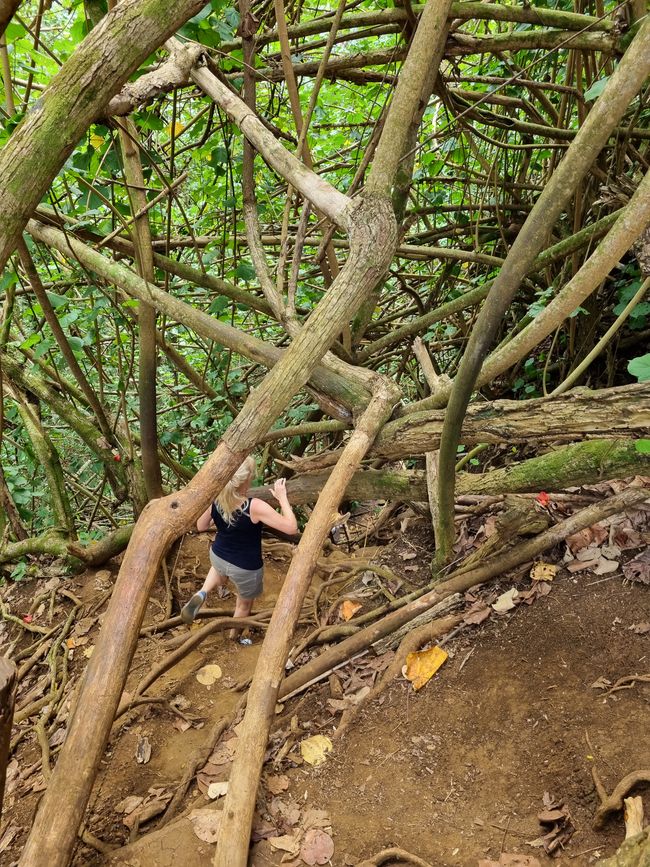 Hawaii 2022 - Teil 2: Kauai