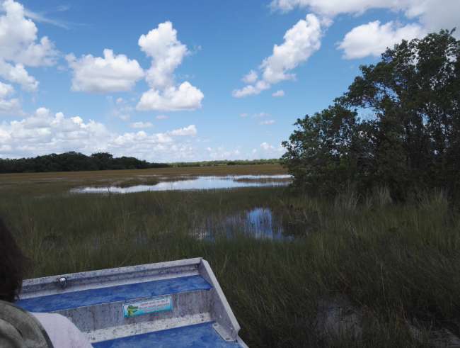 Airboat-ride durch die Everglades