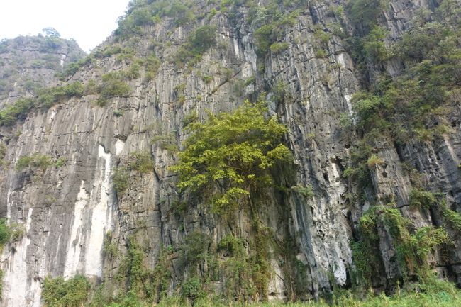 Maravilla de la naturaleza