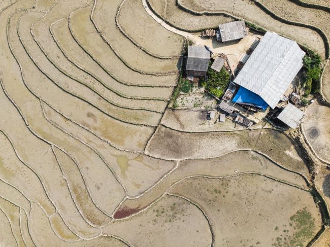 SA PA and its rice fields