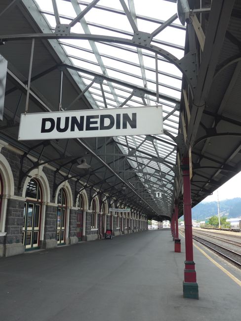 Dunedin (New Zealand Part 35)