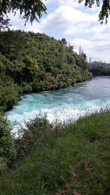 Kerosene Creek and Waikato River