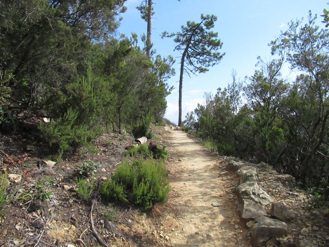Levanto - Monterosso hike