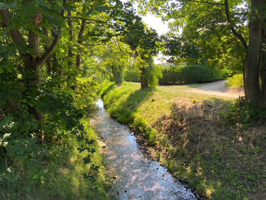 Un joli ruisseau