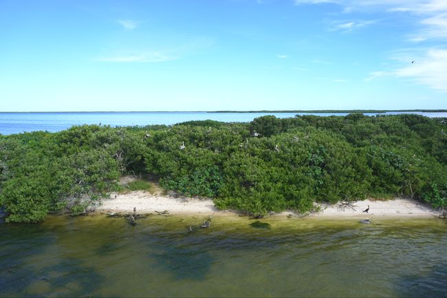 Isla de los Pájaros