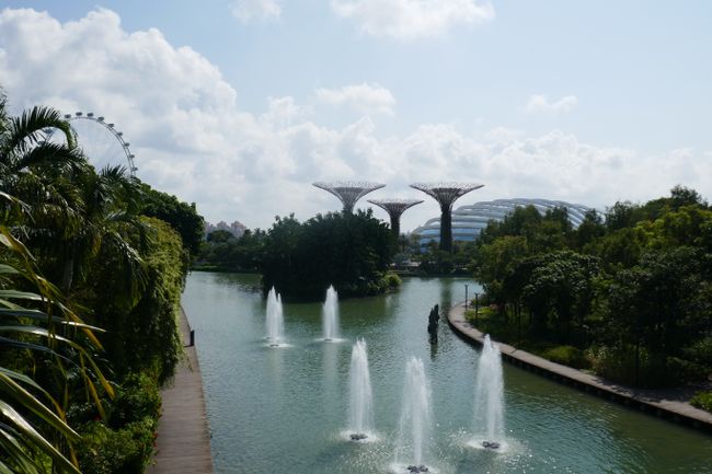 Hochmodern und innovativ: Singapur - Der Stadtstaat als letztes Ziel unserer Reise - Und unser Fazit zu diesem Land