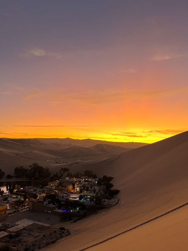 Desert, Oasis, Wineries, Canyons, Islands and Penguins - together in Ica & Paracas