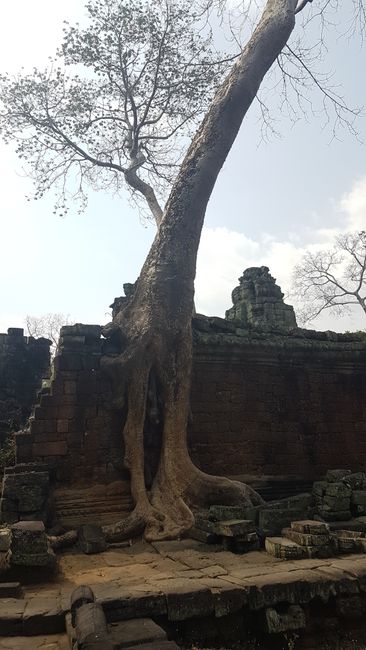 Visiting Angkor Wat.