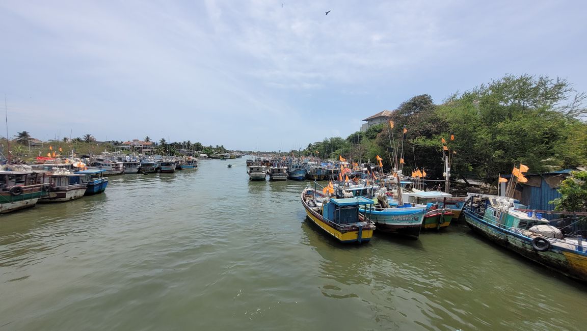 The fishing boats of the city