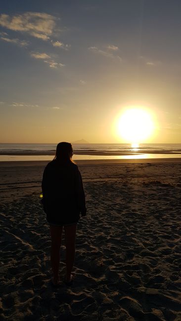 Day 3: Ruakaka - Waipoua Forest