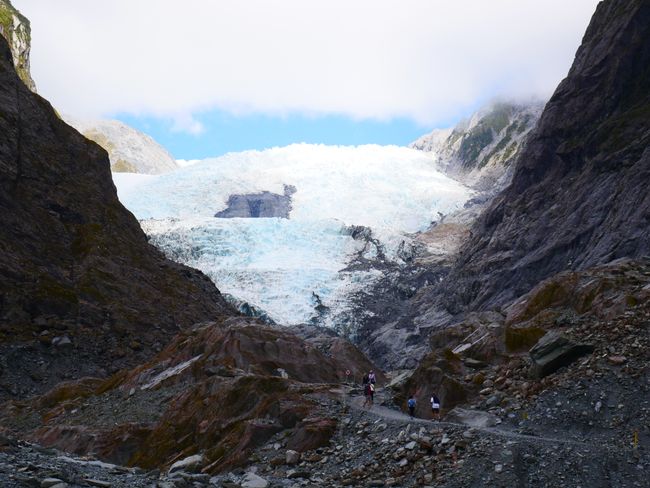 Die Westküste - Franz Josef Gletscher