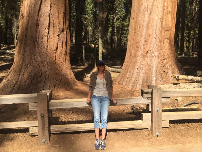Sequoia National Park 24.9.18