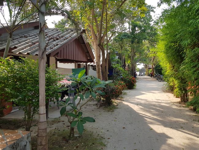 Heading South - the Beaches - Koh Phangan