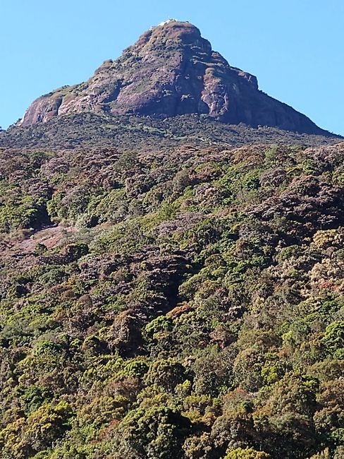 Dalhousie (Adam's Peak) – Nuwara Eliya