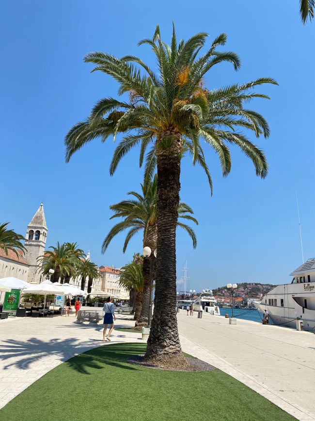 Trogir 