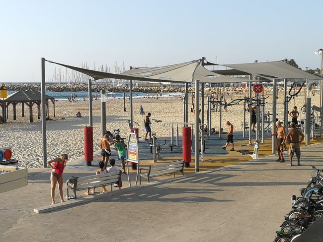 Die Einwohner Tel Avivs treiben gerne und viel Sport, z.B. Joggen, Krafttraining und Volleyball am Strand