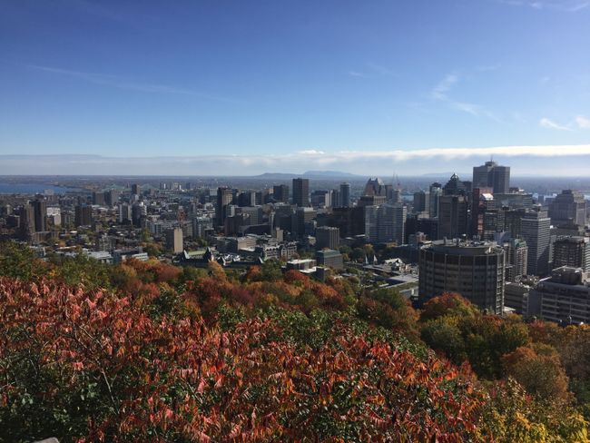 Mount Royal, Old Town und China Town