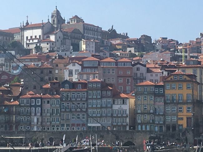 Port wine tasting in Porto