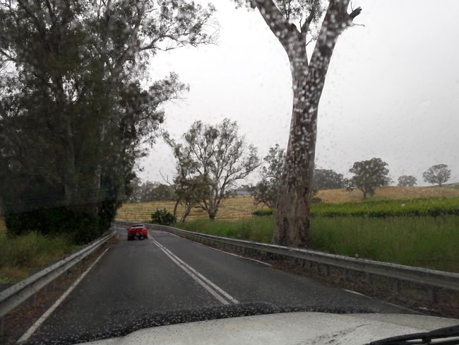 Drive through the Adelaide Hills 