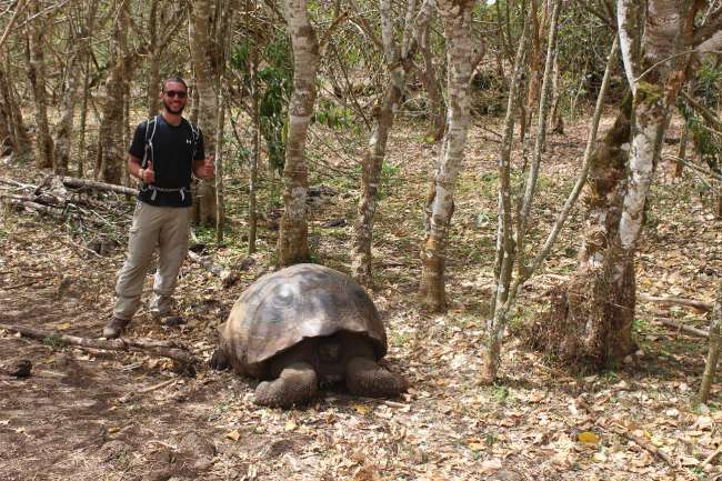 Galapagos - Pass auf, dass du nicht auf ein seltenes Tier trittst!