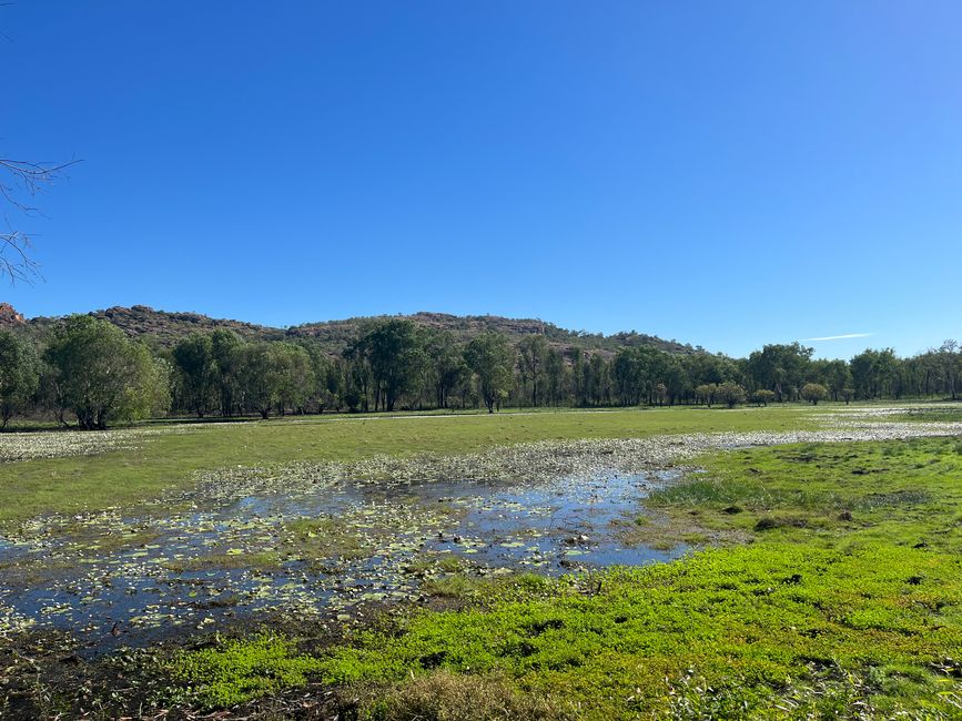 04.07.2023 – Ausflüge in den Kakadu- und Litchfield-Nationalpark