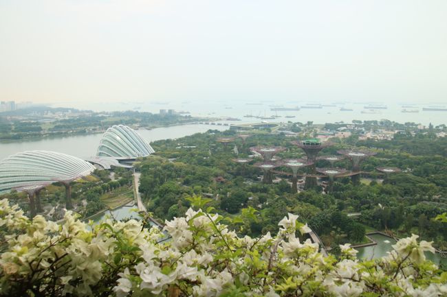 Gardens by the Bay 