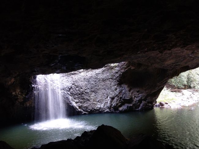 😃🐛 Glowworm cave in Springbrook National Park