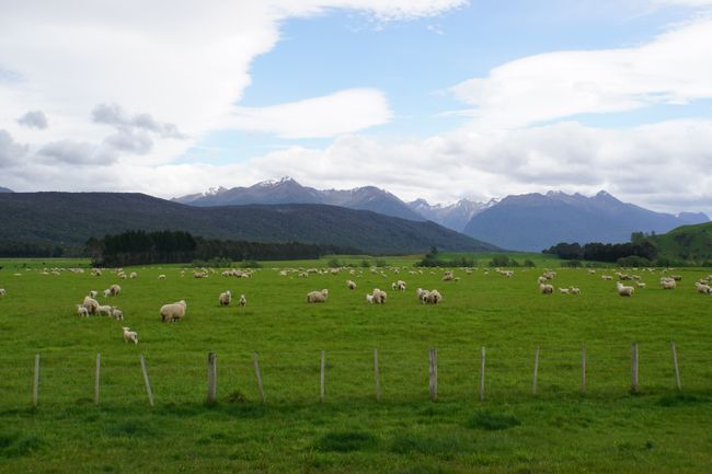 From Queenstown to Milford Sound