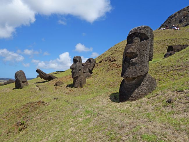 Rano Raraku: Unterhalb des ehemaligen Steinbruchs schauen nur noch die Köpfe der Moai aus dem Erdreich, die Körper sind verschüttet