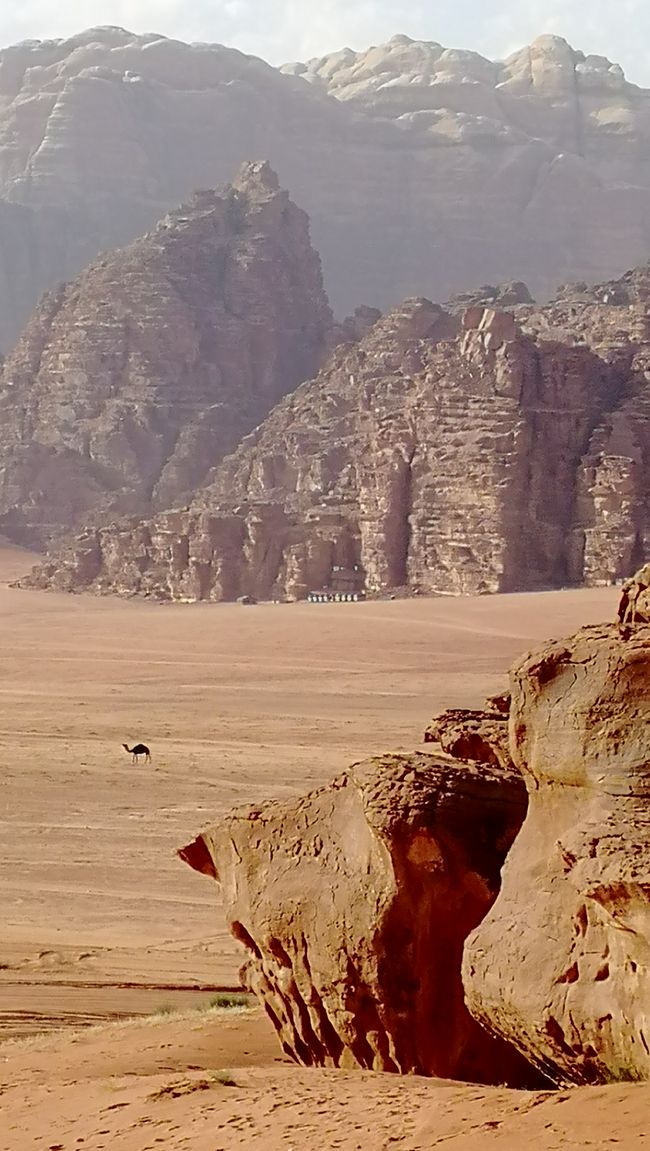 Jordanië - Wadi Rum