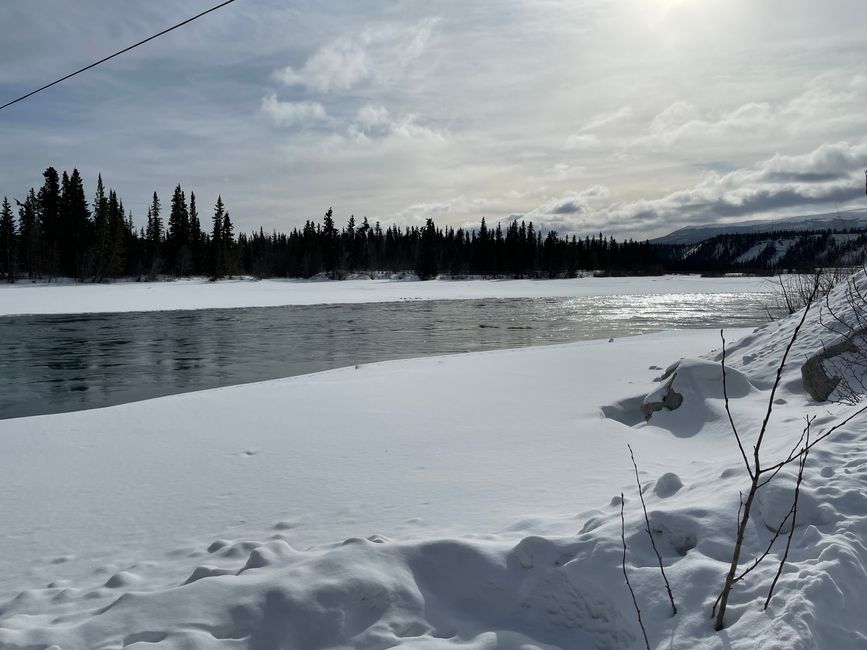 Yukon River (Millenium Trail)