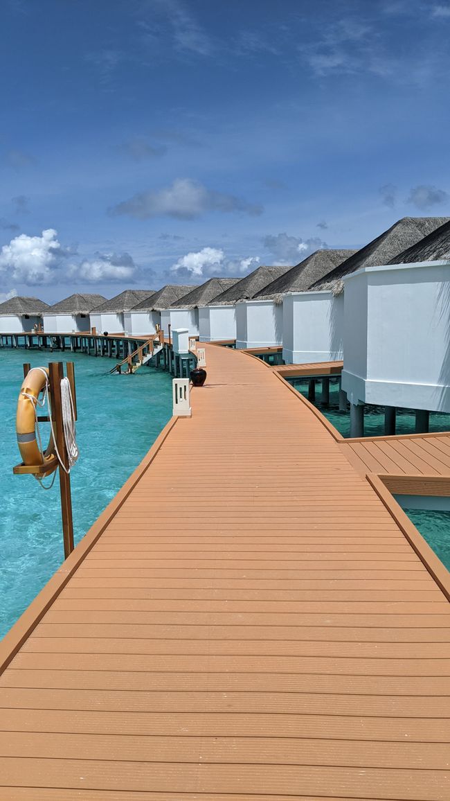 Maldives Day 8 - Sun, Heat, Bathtub - and a Wakeboard!