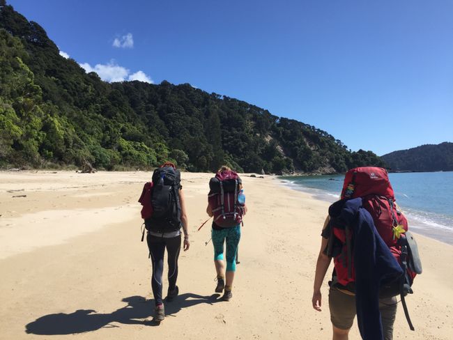 Aventura Great Walk - A caminata costiera di Abel Tasman