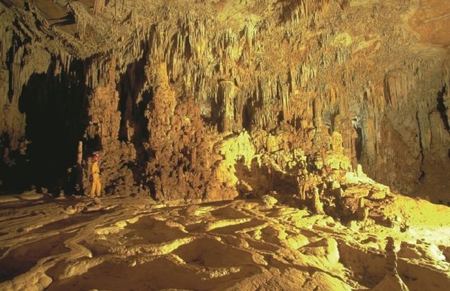 San Ignacio - ATM Cave
