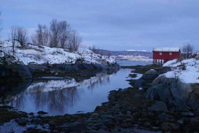 Norwegen Teil 1: Schlittenhunde und Polarlichter