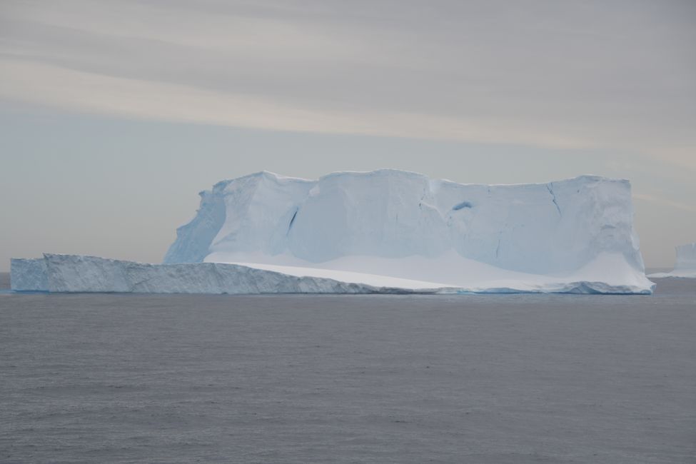 Iceberg