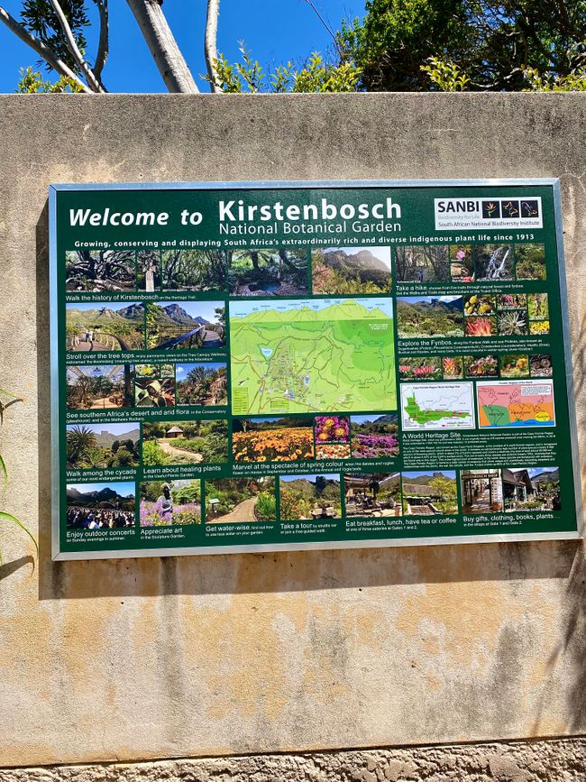 Kirstenbosch Botanical Gardens is a huge area where you can freely roam and enjoy the nature and landscape.