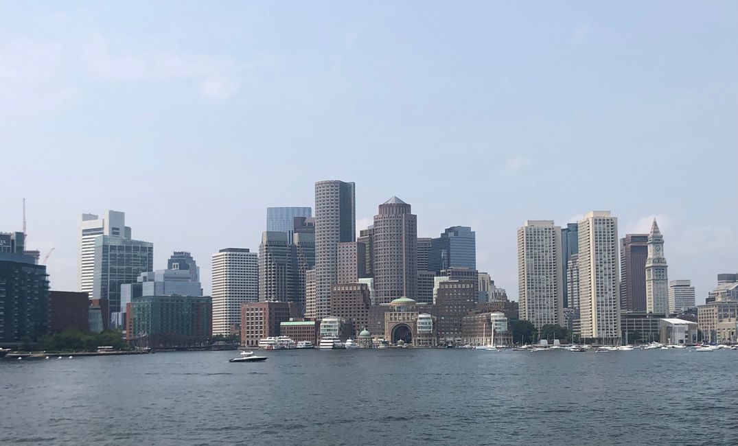 Boston (Whale Watching)