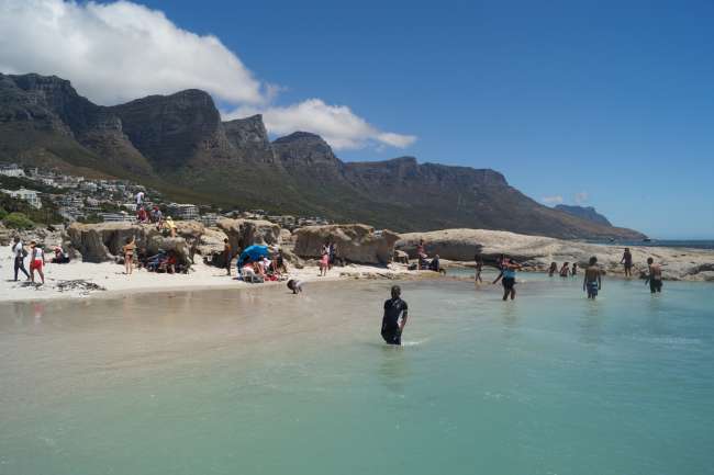 10 days in Cape Town