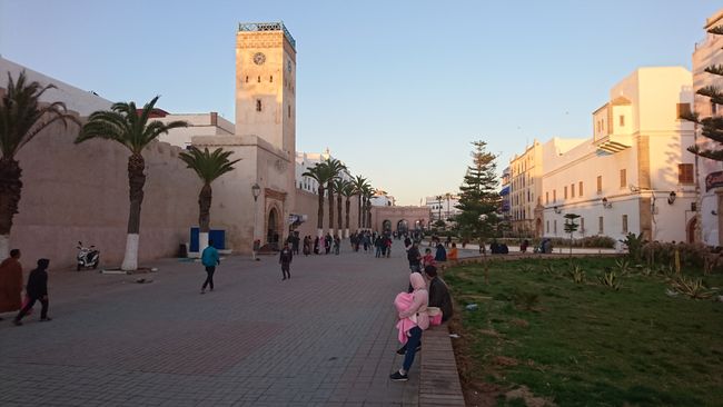 Tag 14 Oualidia -Essaouira afrikanisches Burn out