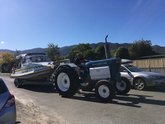 zurück in Marahau - Wassertaxi auf dem Traktoranhänger