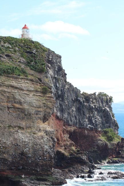 Ein kultureller Ausflug nach Dunedin und ein natuerliches Abenteuer vor Oamaru