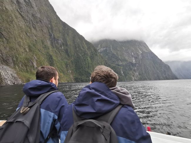 22.11.2019 Milford Sounds