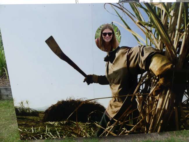 Der Versuch wie ein Arbeiter auf dem Sugar Cane Feld auszusehen