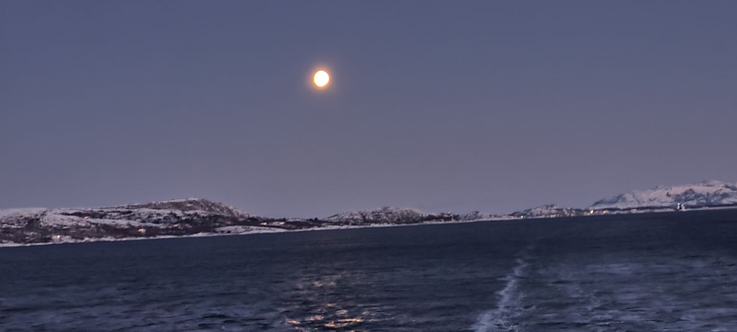 1-14 February 2023 Hurtigruten
Coast, 3 February