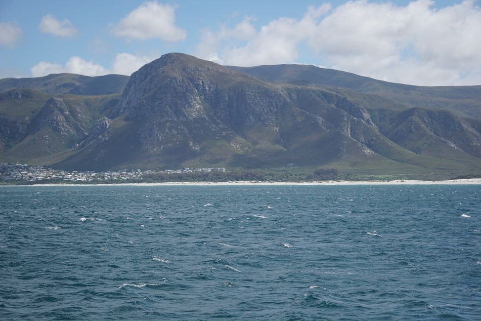 Hermanus ♥️