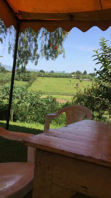 Still in Fort Portal - View from the garden