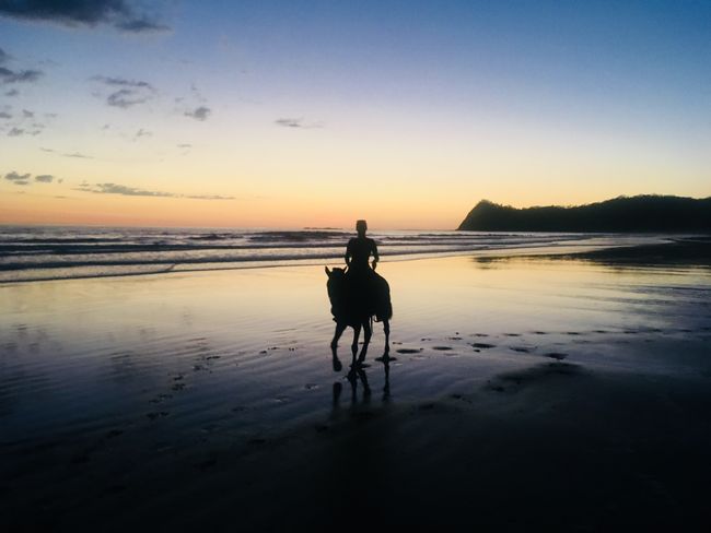 Horse Riding Playa Barrigona