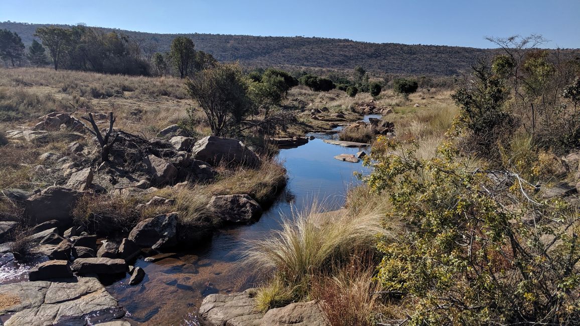 Dag 9: Fra Pilanesberg NP til Kololo Game Reserve