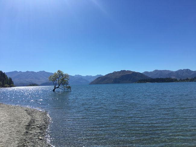 Lake Tekapo -> Wanaka